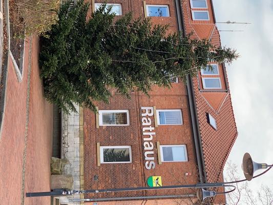 Tannenbaum 2019