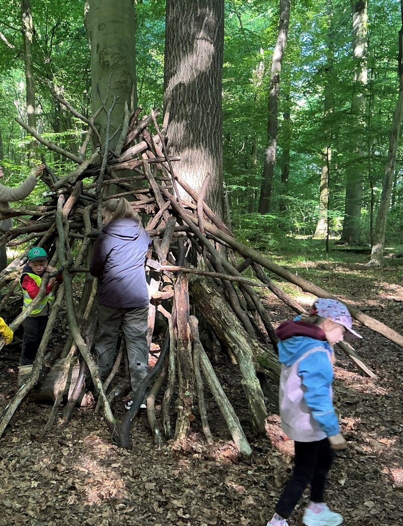Waldtage im Harsumer Wald